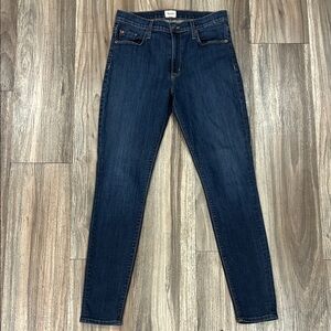 Hudson Jeans Dark Blue Women's Skinny Jeans